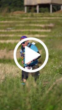 BIB:  <button type="button" onclick="openModal(26786951)" class="btn btn-primary btn-sm float-right" data-toggle="modal" data-target=".modal-high-quality">
                <i class="fa fa-download"></i> Download
                </button>